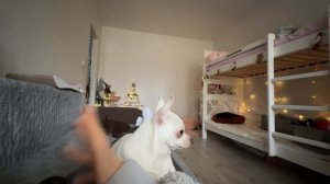 Бомбят с ночи. Мы не унываем. Подарки для Киры. Эксперименты с волосами.