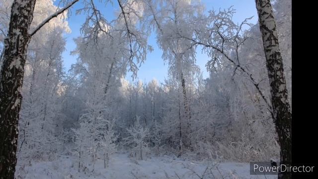 13 января народный праздник ВАСИЛЬЕВ ДЕНЬ. Традиции и приметы .Что НЕЛЬЗЯ делать в старый новый год