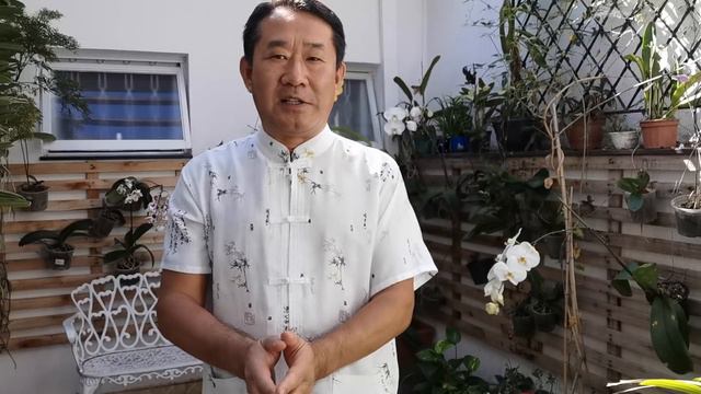 FORTALEÇA SUA ENERGIA VITAL, OBTENDO FORÇA E CURA | Dr. Peter Liu смотреть онлайн