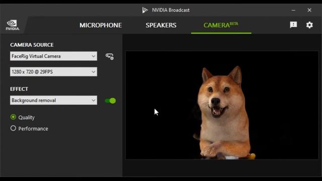 FaceRig+Nvidia Broadcast? What even happens #facerig #matiorasu #nvidia #rtx #why смотреть онлайн