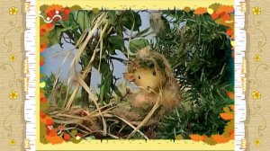 Сказки для самых маленьких. Страшный заяц