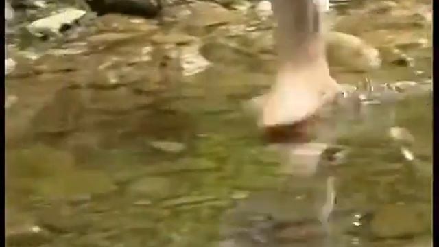 АДЫГЕЯ смотреть онлайн