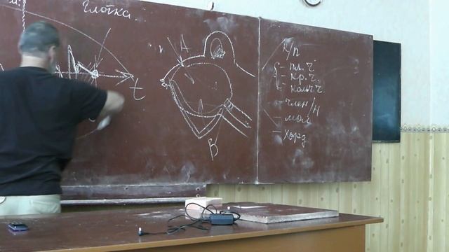 5 Дыхание и газообмен смотреть онлайн