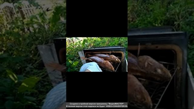судак горячего копчения.обед по быстрому. смотреть онлайн