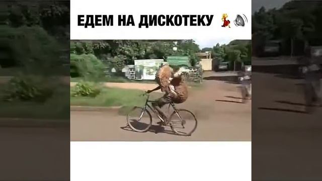 Едем, едим в соседнее село на дискотеку!) смотреть онлайн