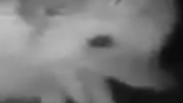 ёжик чихнул под метал (disturbed - down with the sickness) смотреть онлайн