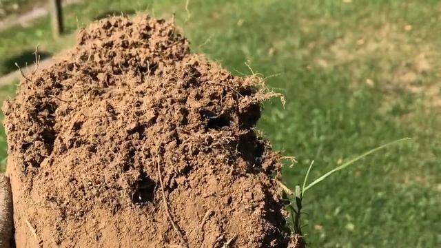 Metal Detecting Silver And Large Coppers Whites V3i