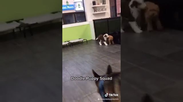 Doodle Puppy Party смотреть онлайн