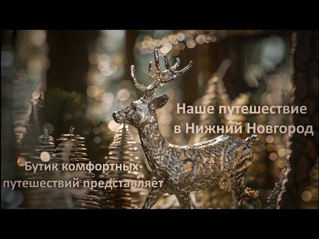 Наше путешествие в Нижний Новгород