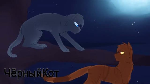 Коты Воители Синяя Звезда - Клип Новый Бывший...(Заказ) смотреть онлайн