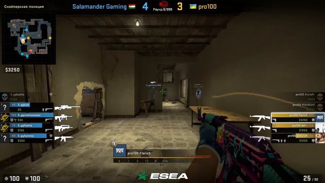 ЛУЧШИЙ КОММЕНТАТОР НА ESEA | КОМАНДА CEH9 ПОТЕЕТ ПРОТИВ SALAMANDER | PRO100 VS SALAMANDER смотреть онлайн