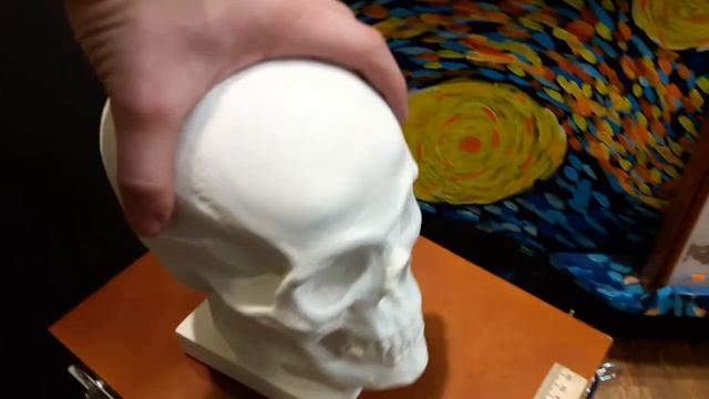 Фигура из гипса Череп (слепок с натурального) в натуральную величину 20 см на стойке смотреть онлайн
