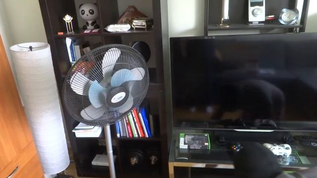 Aruna & Hari Sharma bought Kombispelare DVD/VHS LG RCT699H Svart for data Transfer Sep 01, 2014 смотреть онлайн