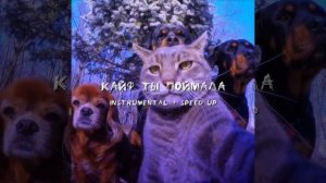 konfuz - кайф ты поймала(instrumental + speed up)