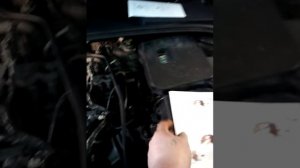 Правильная установка котла подогрева на Форд 3