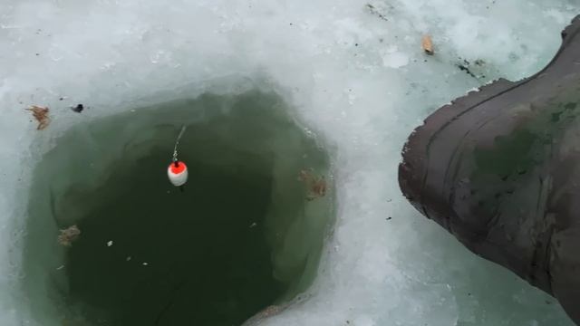 Рыбалка на навагу из подольда Власьево смотреть онлайн