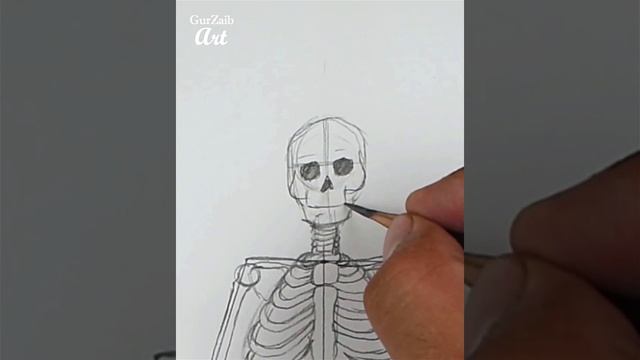 Skeletal System Diagram Drawing CBSE || Easy Way || Draw Human Anatomy - Step By Step For Beginners