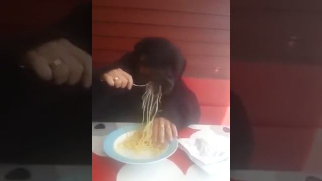 Собака ест руками за столом смотреть онлайн