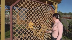 6 соток 14 мая 2023 года Хроника.