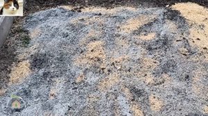 Как использовать опилки для огорода осенью польза и вред
