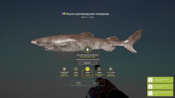 Русская Рыбалка 4 [PC 2018]