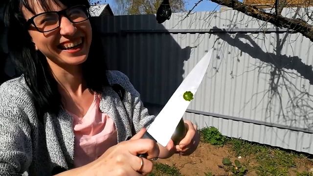 СОЧНАЯ КУРИЦА НА МАНГАЛЕ ► ПОЧТИ КАК ШАШЛЫК