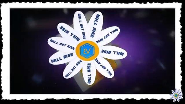 Chamomile is an important flower! What awaits ARCONA in the coming year! смотреть онлайн