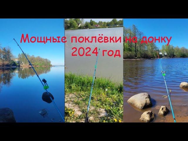 Мощные поклёвки на донки! #рыболовныеузлы #рыбалкасдимономкруглыйгод #fishingknots