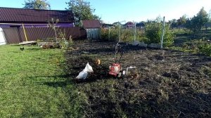 Культиватор ГНОМ-2 ответы на вопросы