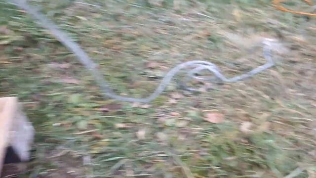 Холодное копчение. Попытка номер 2. УДАЧНАЯ!!! смотреть онлайн