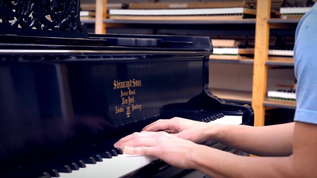 Piano Sonata No. 8 [Sonata Pathetique] - Steinway Model B #87751 смотреть онлайн