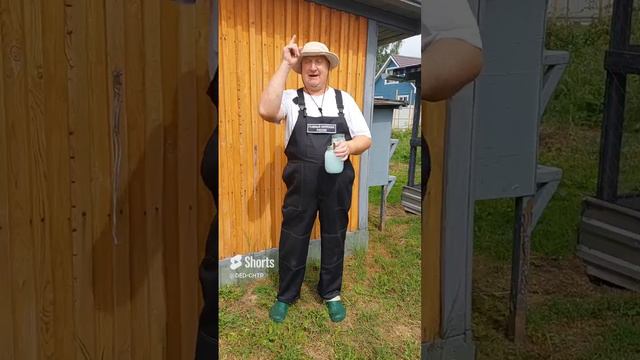 ЦЫПЛЯТА РАСТУТ НА МОЛОКЕ! смотреть онлайн