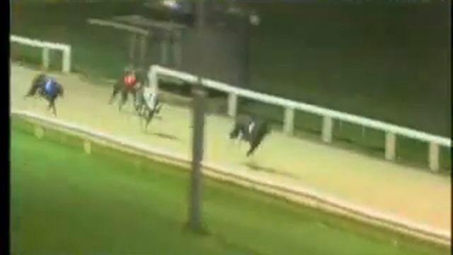 IGB - Y.T.S.Unraced Stake Non SIS Final 20/02/2019 Race 1 - Youghal смотреть онлайн