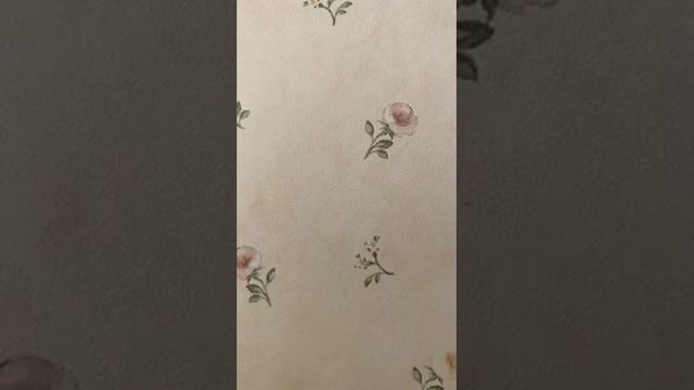 Бесплатный урок английского для дошкольников от AllRight. Тема: эмоции