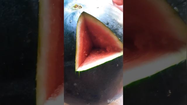 за интернет заплатила,пельмени,поездка дачу