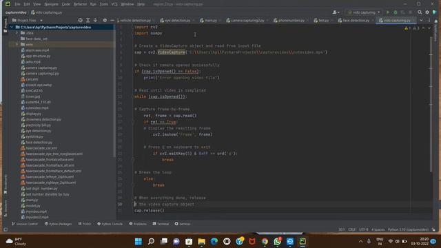 video capturing program using python смотреть онлайн