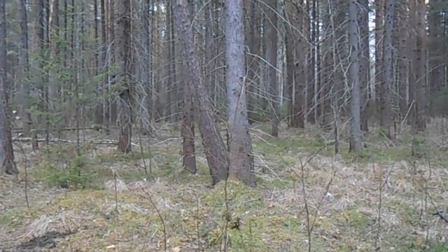 В ПОИСКАХ МЕТАЛЛА НА ВЕЗДЕХОДЕ смотреть онлайн