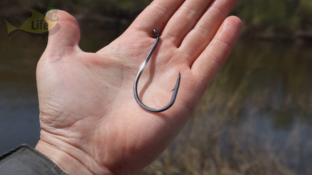 На эту каракатицу клюет огромные оковалки! Как ловить рыбу на медведку? Рыбалка на медведку. смотреть онлайн