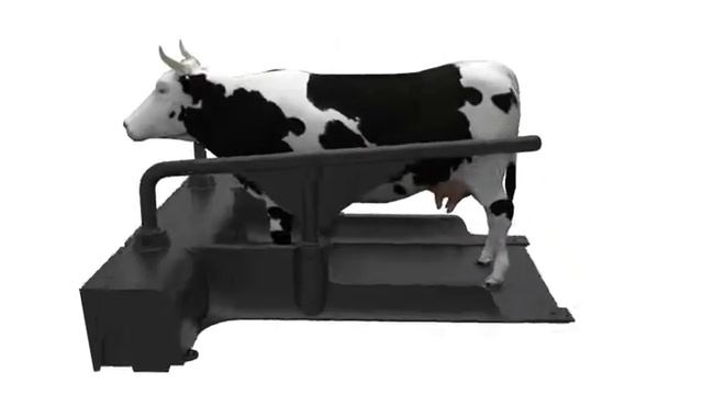 Инновационное стойловое оборудование нового типа смотреть онлайн