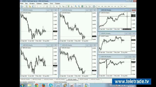 Teletrade Трунин Комплексный анализ финансового рынка и торговые идеи 2015 10 06 1 смотреть онлайн