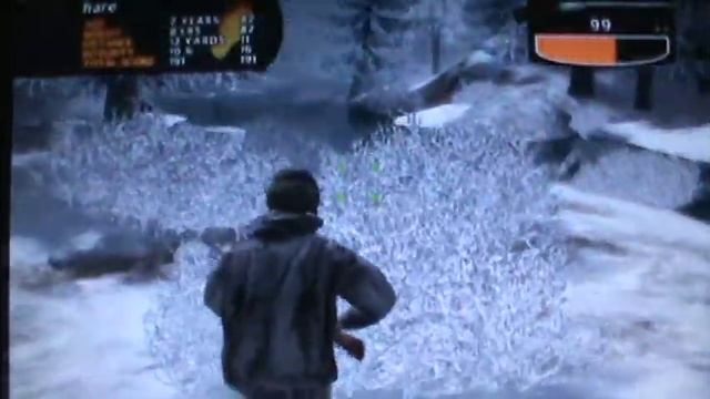 Cabela's Big Game Hunter 2009 Gameplay (wild hog) смотреть онлайн