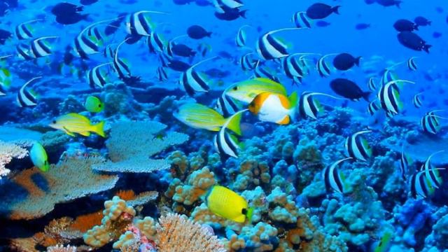 The 30 Wonders of the World смотреть онлайн
