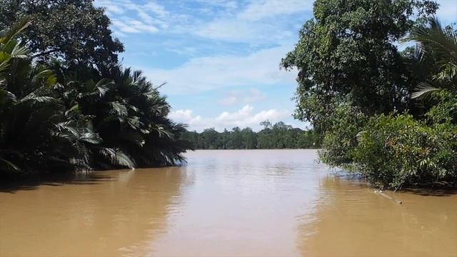 Цели на год | Как ставить цели на год. Пассивный доход смотреть онлайн