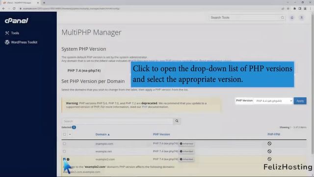 How to Set the PHP Version per Domain using cPanel with FelizHosting смотреть онлайн