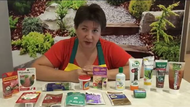 ДУПЛА НА ДЕРЕВЬЯХ: чем опасно и как помочь дереву. ЧТО ДЕЛАТЬ? смотреть онлайн