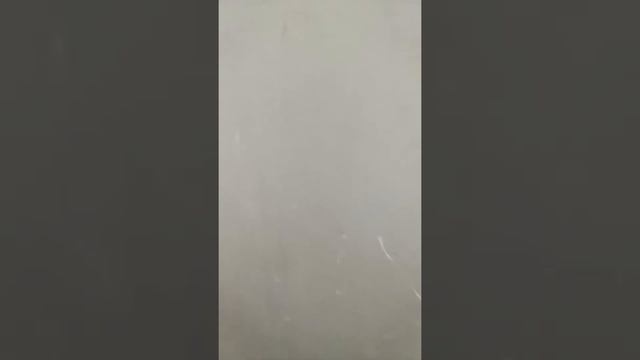 Ревизорро в ЖК Акварели г. Балашиха 1x01