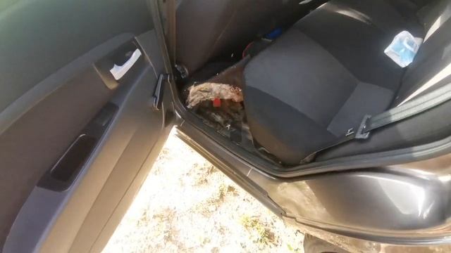 От куда затекает влага под ковралин в приоре смотреть онлайн