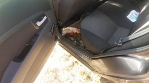 От куда затекает влага под ковралин в приоре