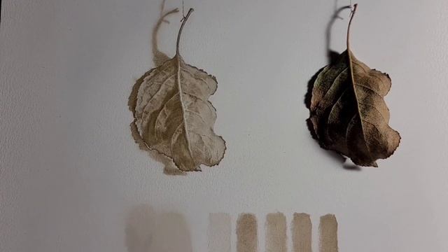 Классические техники живописи. Белильная прописка. смотреть онлайн