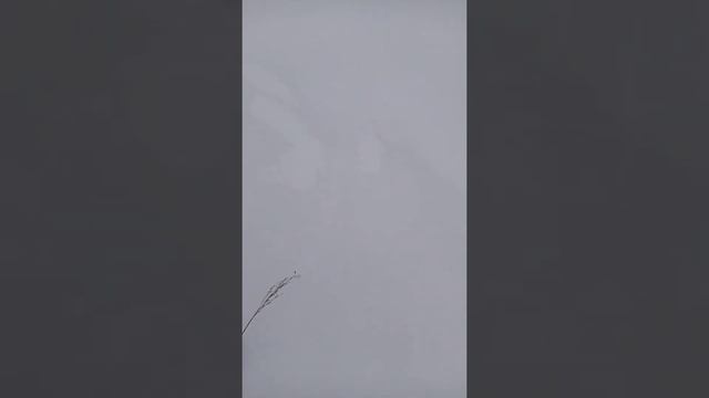 Показываю как делал дом из снега смотреть онлайн